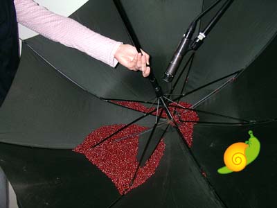 波の音の作り方「作り方１」小豆が入った傘を回す。