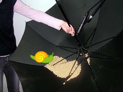 波の音の作り方「作り方１」材料選び：大豆と大きい傘